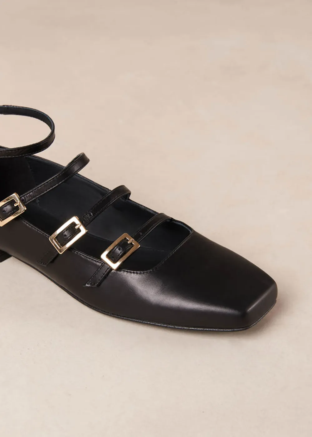 luke_ballet_flats_1.webp Alohas Luke Ballet Flats | Shoes